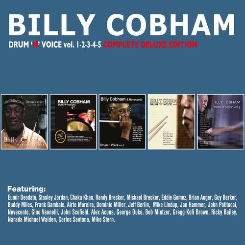 Drum 'n' Voice
