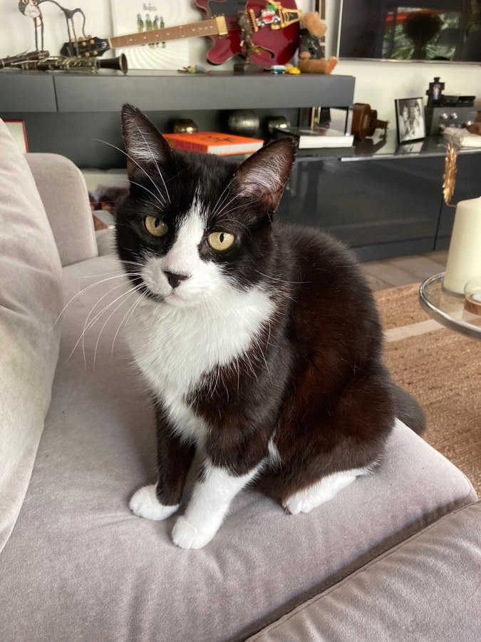 Mimi